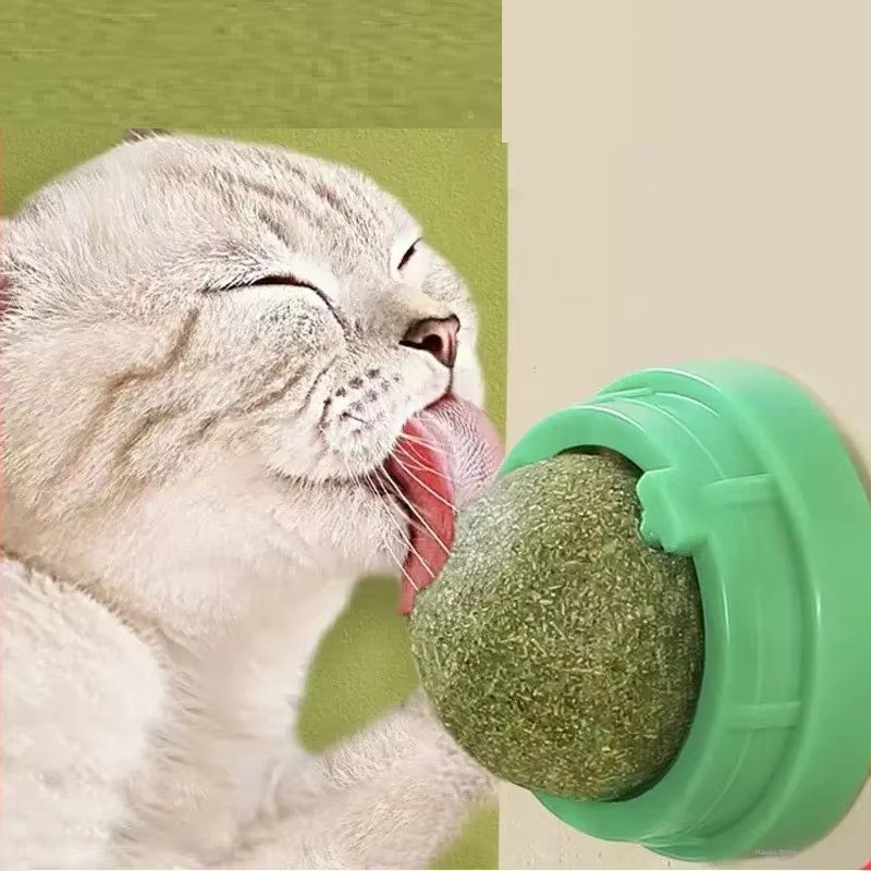 Natural Catnip Scratching For Cats Therapeutic Healthy Scraper Toy Cat Wall Sticker Ball Pet Produc 0