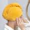 Microfiber Hair Towel Super Absorbent Hair Towel Fast Drying Hair Wraps Care Cap Button Women Bathr 2