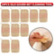 Double Layer Natural Loofah Sponge For Kitchen Cleaning Biodegradable And EcoFriendly 5