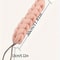 Braided Mesh Back Scrubber with Rope Handle, Long-Reach Exfoliating Body Sponge for Shower and Skin Care