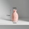 Ceramic Bud Vase, Small Single Stem Flower Vases, Mini Plant Bottle Pot, Decorative Floral Holder for Home Desktop Decor