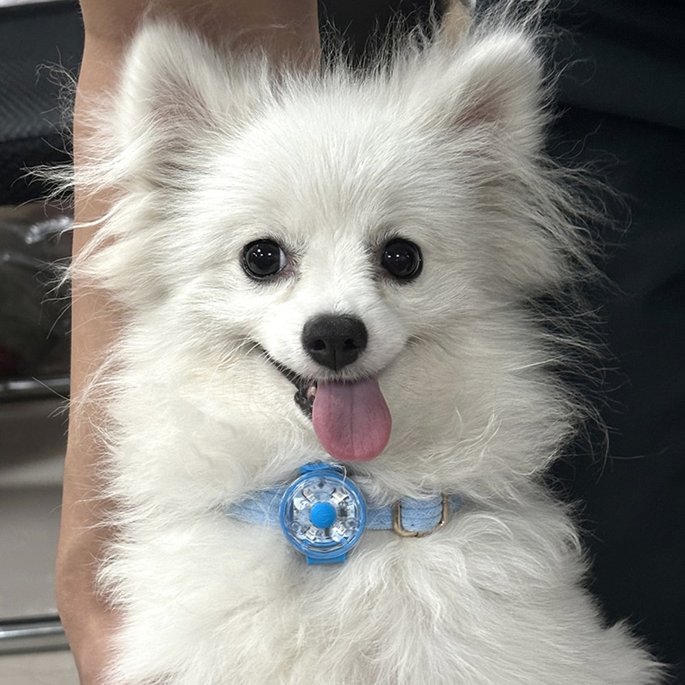 LED Dog Collar Light Rechargeable Flashing Pet Cat Night Safety Pendant Flashlight Accessories For 3