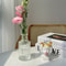 Mini Transparent Glass Vase Nordic Flower Vase Hydroponic Plant Vase Modern Living Room Glass Ornam 2
