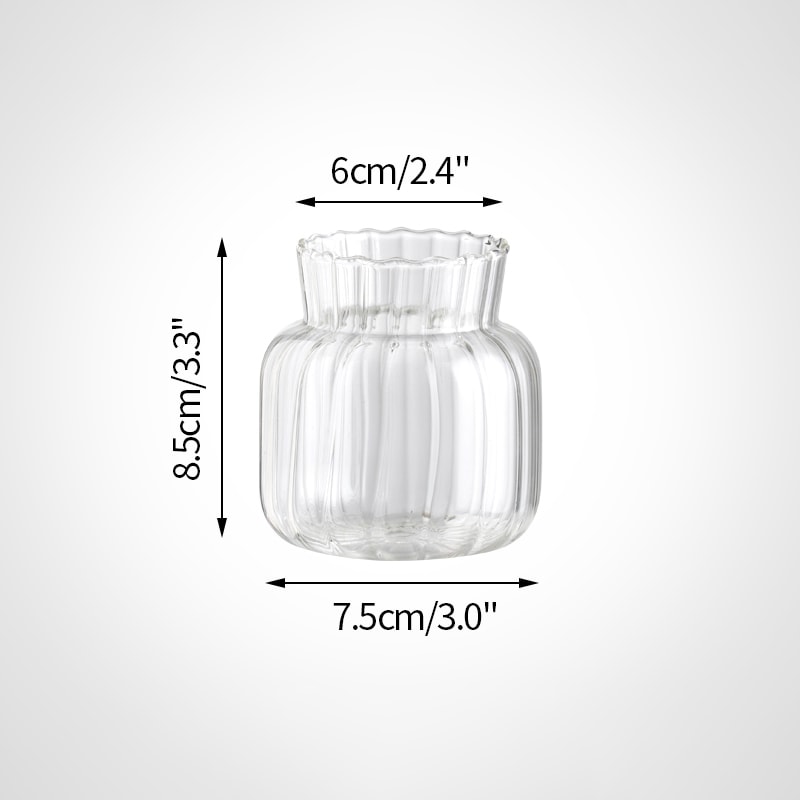 Mini Transparent Glass Vase Nordic Flower Vase Hydroponic Plant Vase Modern Living Room Glass Ornam 12