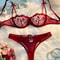Sexy Lingerie Women Thin Transparent Lace, See Through Female Erotic Underwear, Bra And Panty Set, Sleepwear Suit