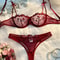 Sexy Lingerie Women Thin Transparent Lace, See Through Female Erotic Underwear, Bra And Panty Set, Sleepwear Suit