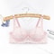Lace Push Up Bra Women Sexy Hollow Out Lingerie Lady Lace Transparent Underwear Female Embroidery S 5
