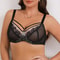 Lace Plus Size Bra, Thin Mesh Embroidery, Full Cup, Gathering Top Support, Slim Fit Underwear for Women