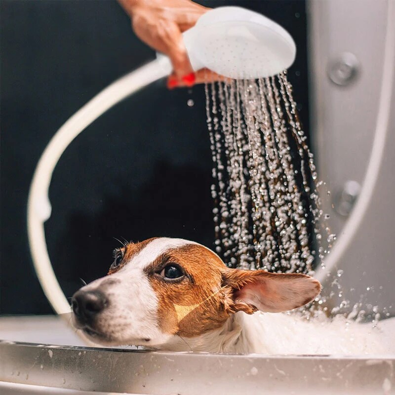 Pet Bathing Shower For Dog Cat Multifunctional Garden Sprayer Easy Bathing And Grooming Tool For Pe 1