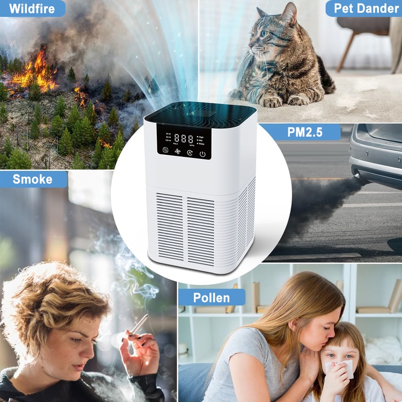 Air Purifier With Smoke Odor Removal Negative Ion Generator Aromatherapy Air Cleaner HEPA Filter Ef 1
