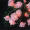 Rose Light String for Home, Hanging Pendant Decoration, Wedding and Valentine's Day Party Supplies Favor