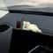 Cute Car Interior Decoration Ornaments Mini Cat Action Figure Auto Dashboard Rearview Mirror Decora 2