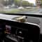 Cute Car Interior Decoration Ornaments Mini Cat Action Figure Auto Dashboard Rearview Mirror Decora 11