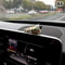 Cute Car Interior Decoration Ornaments Mini Cat Action Figure Auto Dashboard Rearview Mirror Decora 11