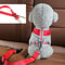 Adjustable Pet Cat Dog Car Seat Belt, Universal Safety Buckle, Adjustable Safety Rope, Dog Car Seat Belts Accessories