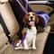 Adjustable Pet Cat Dog Car Seat Belt, Universal Safety Buckle, Adjustable Safety Rope, Dog Car Seat Belts Accessories