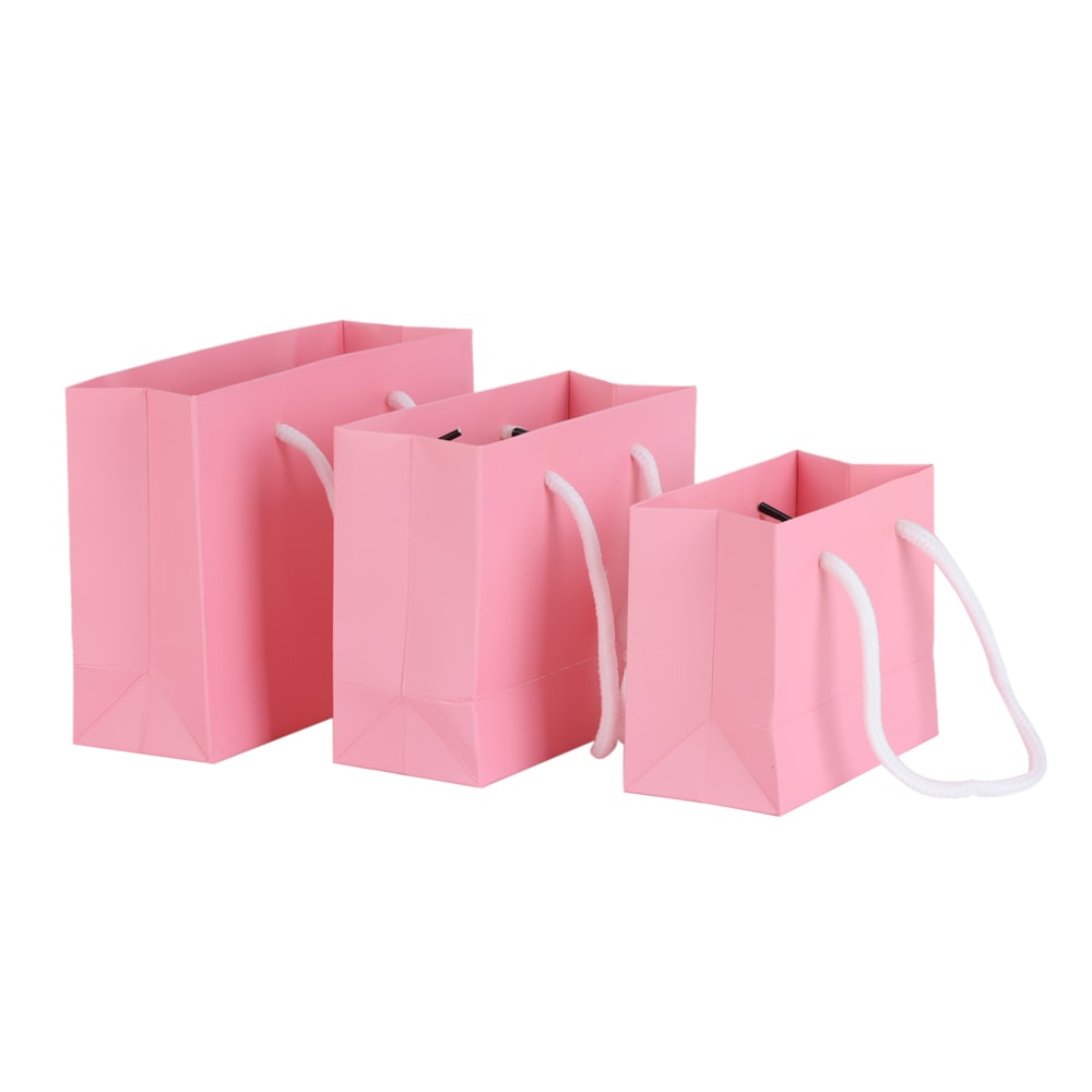 Simple Portable Gift Bag Hardpaper Jewelry Packaging Bag Business Wholesale Gift Bag For Packaging 7