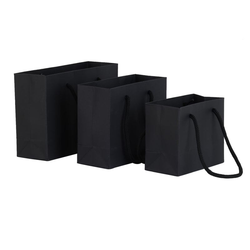 Simple Portable Gift Bag Hardpaper Jewelry Packaging Bag Business Wholesale Gift Bag For Packaging 4