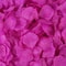 Artificial Fake Rose Petals Colorful Simulation Silk Rose Petal Valentines Day Wedding Party Romant 12
