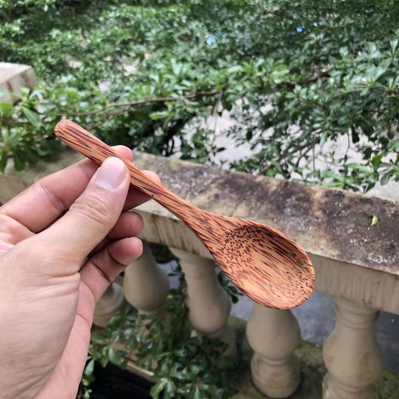 Natural Coconut Spoon Set, Wooden Salad and Ramen Bowl, Coconut Wood Spoons, Coco Smoothie Kitchen Tableware, Eco-Friend