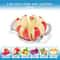 Stainless Steel Apple Slicer Fruit Cutter Frosted Handle Blade Sharp Divider Vegetable Corer Peeler 3