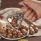Stainless Steel Manual Nut Opener, Walnut Cracker, Adjustable Screw Mechanism for All Nuts, Durable Kitchen Gadget, Easy