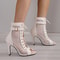 Women Fashion Show Net Fabric Cross Strap Sexy High Heel Sandals, Lace-up Peep Toe Pumps, Casual Mesh Woman Shoes