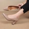 High Heels Dress Shoes for Women, Pointed Shallow Mouth, Thick Heel Fashion Style