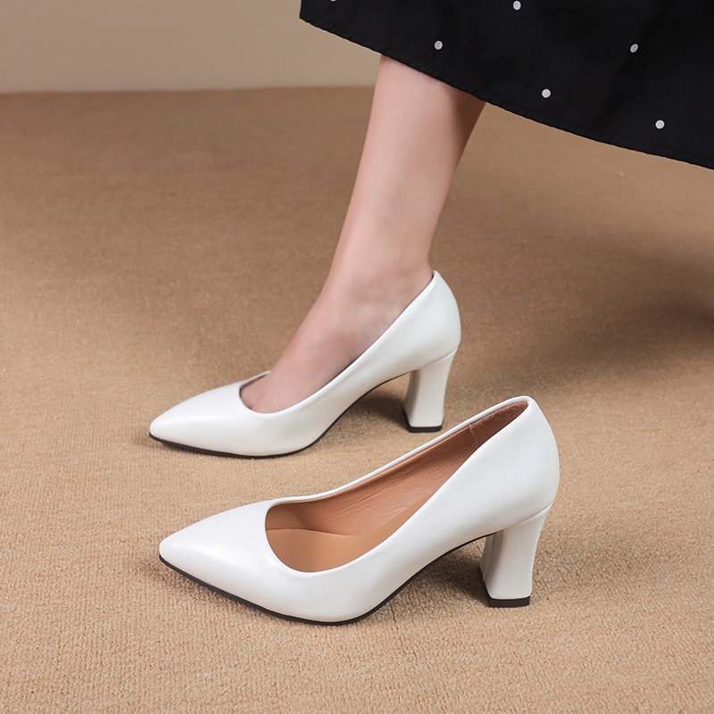 High Heels Dress Shoes for Women, Pointed Shallow Mouth, Thick Heel Fashion Style