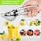 Premium Lemon Squeezer Zinc Alloy Manual Press Juicer Lime Squeezer For Citrus And Orange Fruits 3