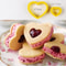 Jam Sandwich Cookie Cutter Biscuit Mold Christmas Plastic Fondant Stamp For Cake Decor 11