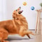 Cartoon Big Eye Ball Dog Toy, Durable Rubber Sound Toy For Dogs, Pet Teeth Grinding Interactive Toy