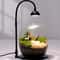Rechargeable Grow Light For Plants Full Spectrum With Smart Timer For Indoor Moss Terrariums 1