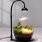 Rechargeable Grow Light For Plants Full Spectrum With Smart Timer For Indoor Moss Terrariums 1