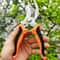 Multifunctional Fruit Scissors with Bird Beak Shape Stainless Steel Blade for Branch Pruning