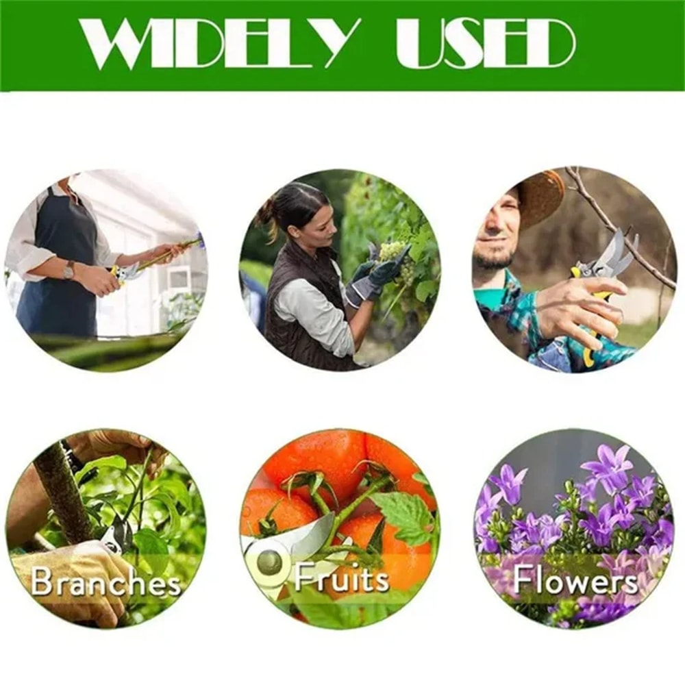 Multifunctional Fruit Scissors with Bird Beak Shape Stainless Steel Blade for Branch Pruning