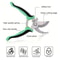 Multifunctional Fruit Scissors with Bird Beak Shape Stainless Steel Blade for Branch Pruning