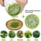 Manual Herb Grinder Vegetable Chopper For Cilantro Parsley Chili Kitchen Spice Mill Gadget 4