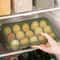 Eggs Storage Box Transparent Plastic FreshKeeping Case Refrigerator Kitchen Tool 2
