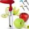 Apple Corer Remover Stainless Steel Slicer Knife Fruit Cutter, Seed Core Tool for Apples Pears, Kitchen Vegetable Tools