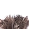 Ostrich Natural Feather Duster Brush with Wood Handle for Anti-static Household and Car Dust Cleaning Tool