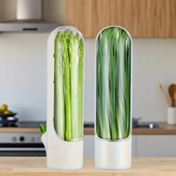 vegetable coriander fresh-keeping box refrigerator organizer, mint parsley herb saver