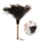 Feather Duster with Wooden Handle, Anti-static Ostrich Dust Removal Tool for Home Cleaning