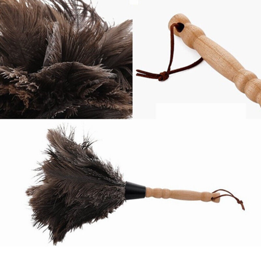Furniture Clean Wooden Hand Household Cleaner Dust Removal Ostrich Feather Brush 4