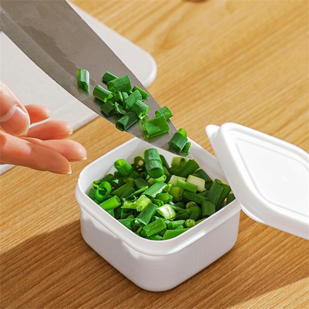 Mini Portable Food Storage Box, Kitchen Refrigerator Meat Sealed Fresh Box, Plastic Fridge Kitchen Organizer, Lunch