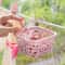 Windproof Clothes Clothespin With Storage Basket Plastic Clips For Laundry Hanging Clips For Drying 0