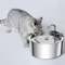 Smart Stainless Steel Pet Water Fountain For Cats And Dogs USB Automatic Mute Drinking Bowl 0