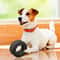 Durable Interactive Dog Chew Toy For Puppies Small Dogs ChewResistant Teeth Training Wheel With Sou 1