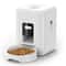 Automatic Smart Pet Feeder Timed Food Dispenser For Cats Dogs 7