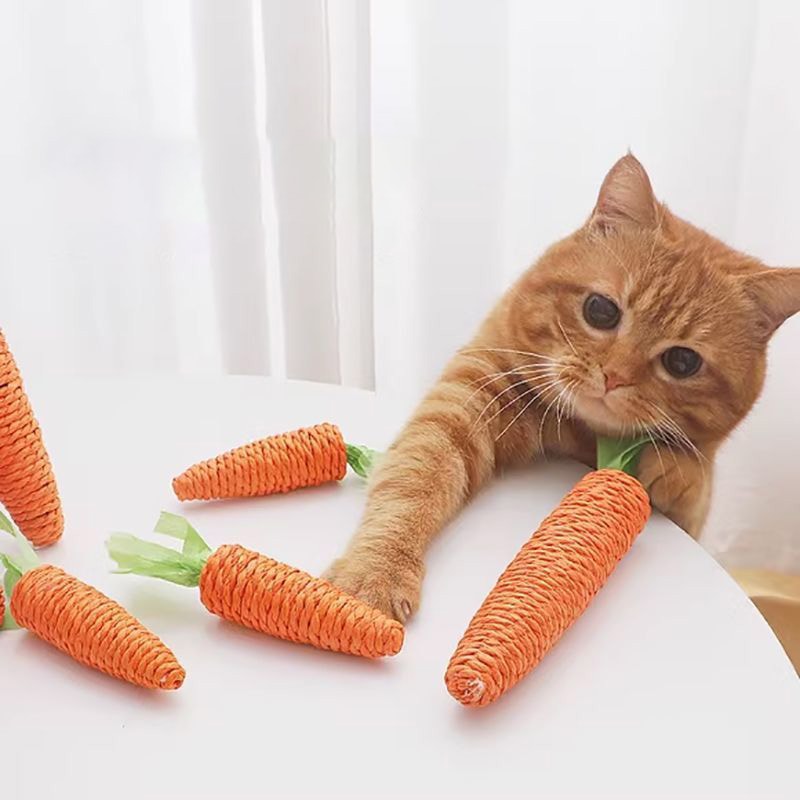Interactive Cat Toy Carrot Sound Teething Stick Anti-Bite Scratching Board for Cats